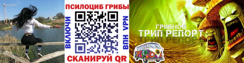 Галлюциногенные грибы MAGIC MUSHROOMS  OMG ONION  Балаково  как найти закладки 