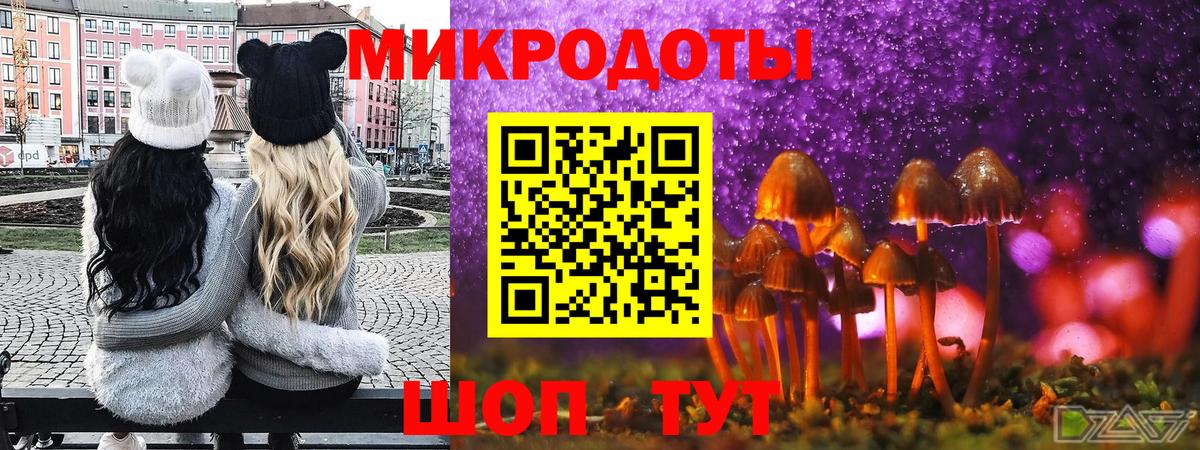 Псилоцибиновые грибы GOLDEN TEACHER Балаково