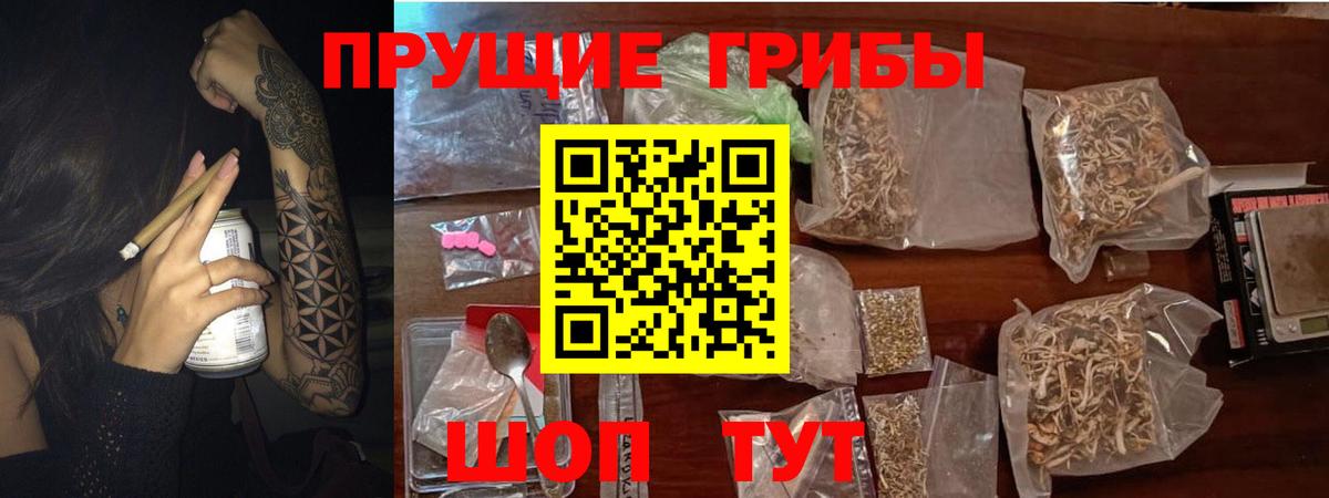 Псилоцибиновые грибы MAGIC MUSHROOMS  Вход с VPN  наркота  Псилоцибиновые грибы мухоморы  Балаково 